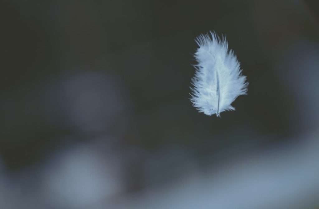 curso mindfulness meditação bem-estar