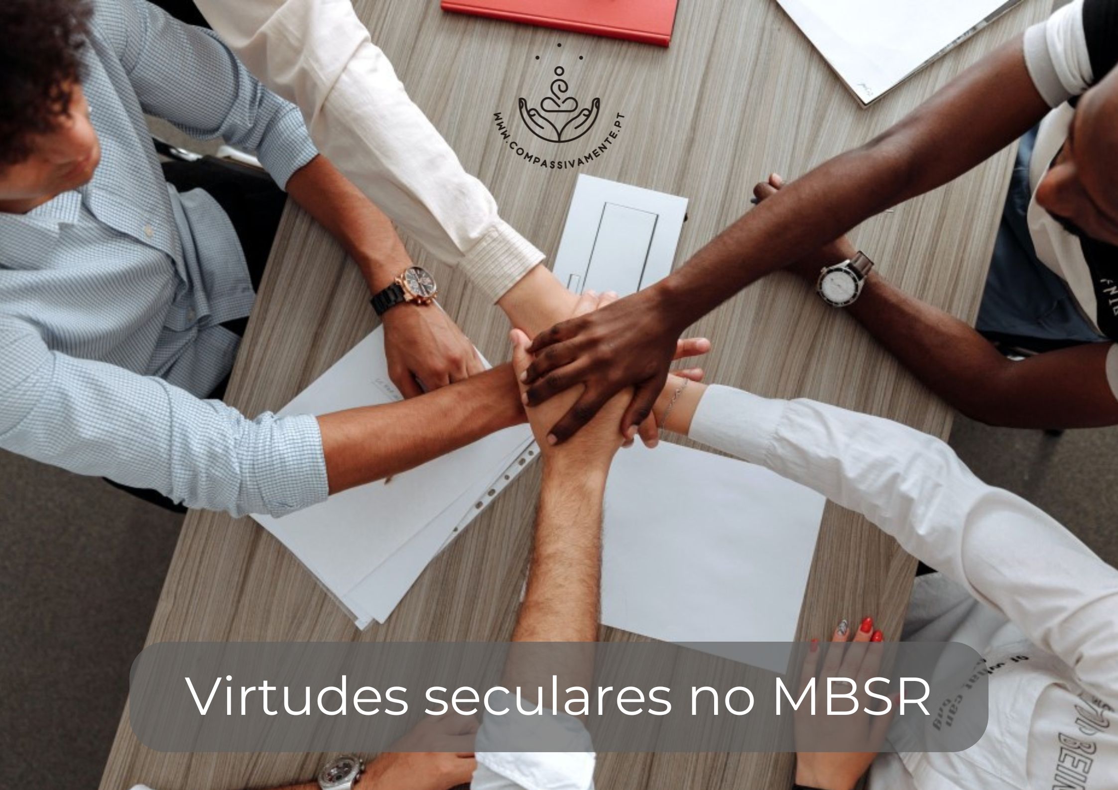 Mindfulness virtudes